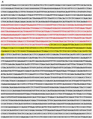 Failure of Glial Cell-Line Derived Neurotrophic Factor (GDNF) in Clinical Trials Orchestrated By Reduced NR4A2 (NURR1) Transcription Factor in Parkinson’s Disease. A Systematic Review